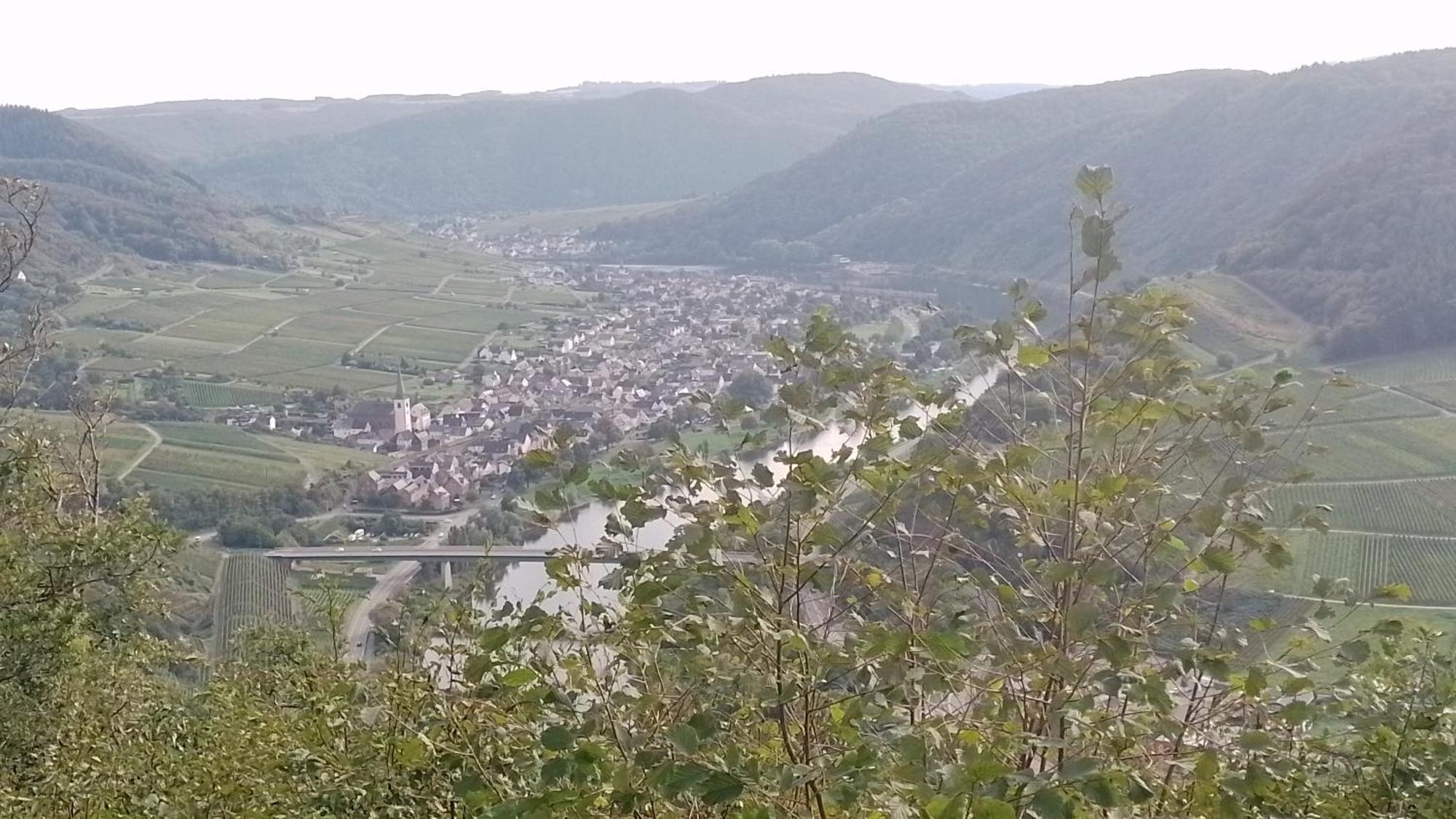 Ferienwohnungen Am Bruttiger Moselsteig 외부 사진