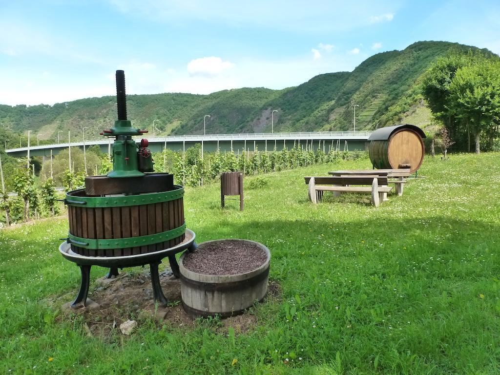 Ferienwohnungen Am Bruttiger Moselsteig 객실 사진
