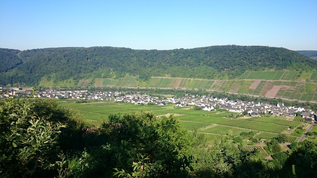 Ferienwohnungen Am Bruttiger Moselsteig 외부 사진