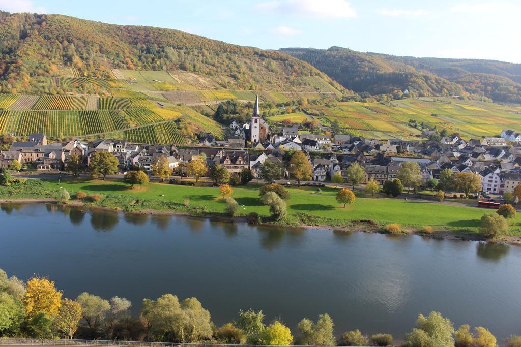 Ferienwohnungen Am Bruttiger Moselsteig 외부 사진