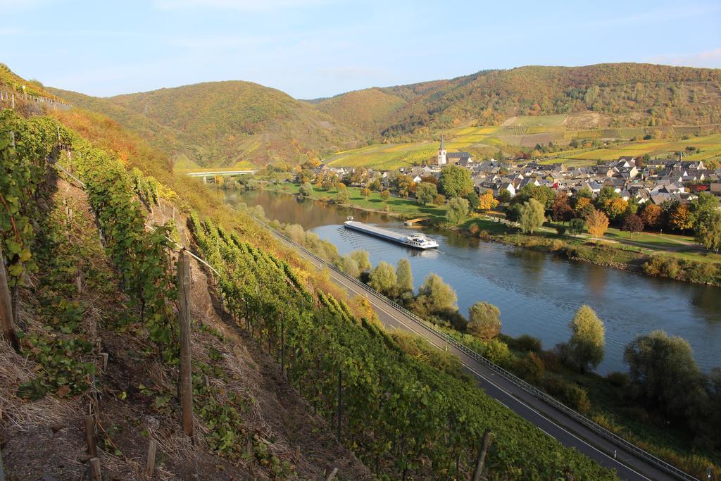Ferienwohnungen Am Bruttiger Moselsteig 외부 사진