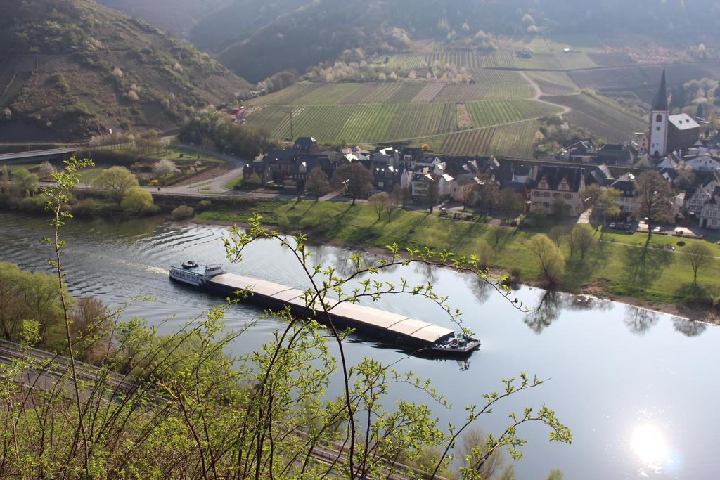 Ferienwohnungen Am Bruttiger Moselsteig 외부 사진