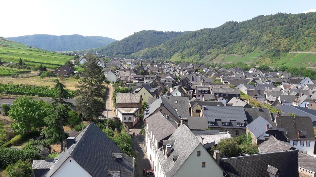 Ferienwohnungen Am Bruttiger Moselsteig 외부 사진