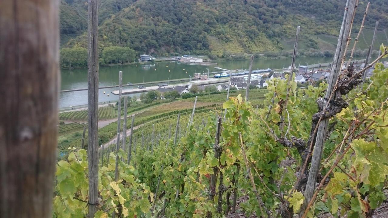 Ferienwohnungen Am Bruttiger Moselsteig 외부 사진