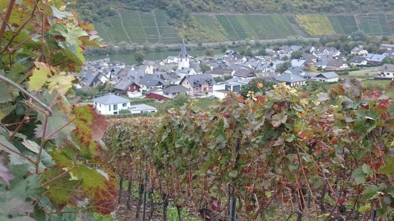 Ferienwohnungen Am Bruttiger Moselsteig 외부 사진